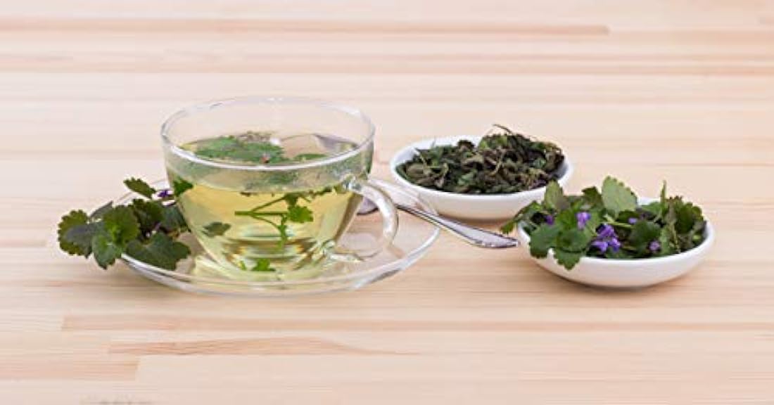 Hiedra terrestre (glechoma hederacea L.) – Salud Embajada