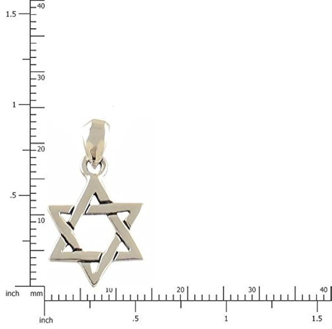 Colgante de estrella de David entrelazada de plata