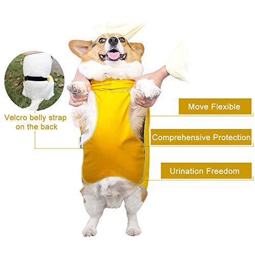 Luccalily - Chubasquero con capucha para perro pequeño, perro mediano, impermeable, con tira reflectante, correa ajustable para el vientre, poncho ligero con bolsa de almacenamiento