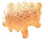 Nerdbugs Intestines / Colon Plush Organ-