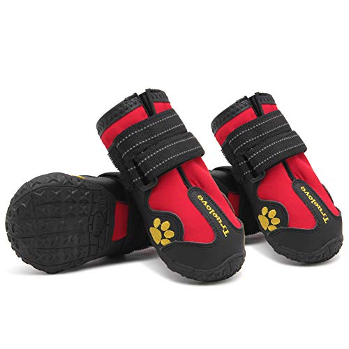 Botas impermeables para perros con las mejores correas