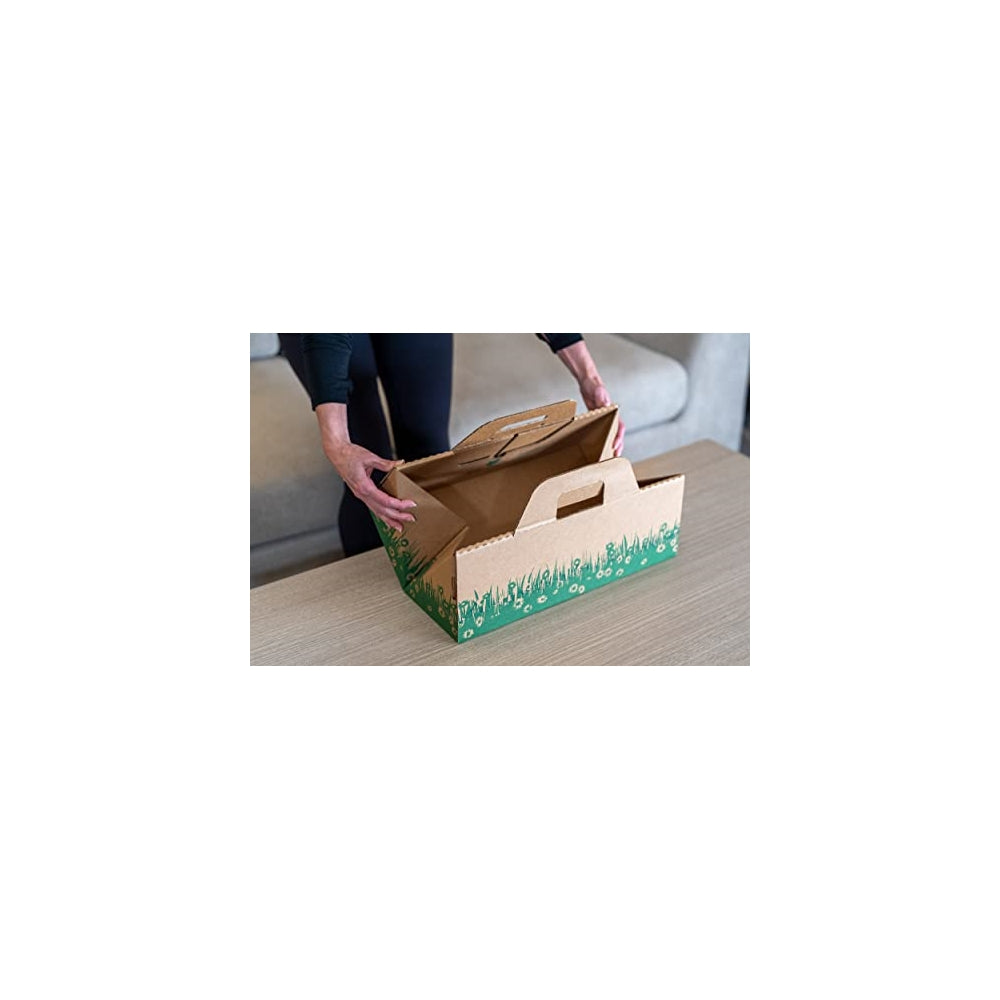 Cajas desechables Solución biodegradable  eliminación rápida