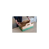 Cajas desechables Solución biodegradable  eliminación rápida