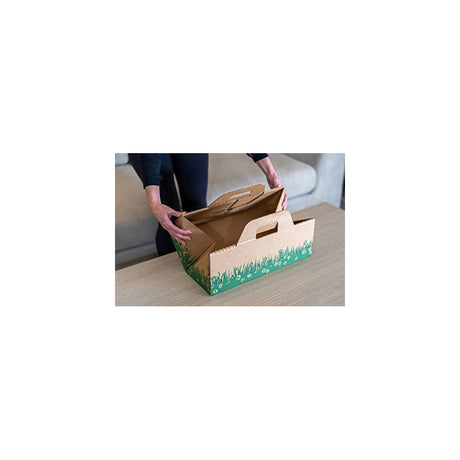 Cajas desechables Solución biodegradable  eliminación rápida