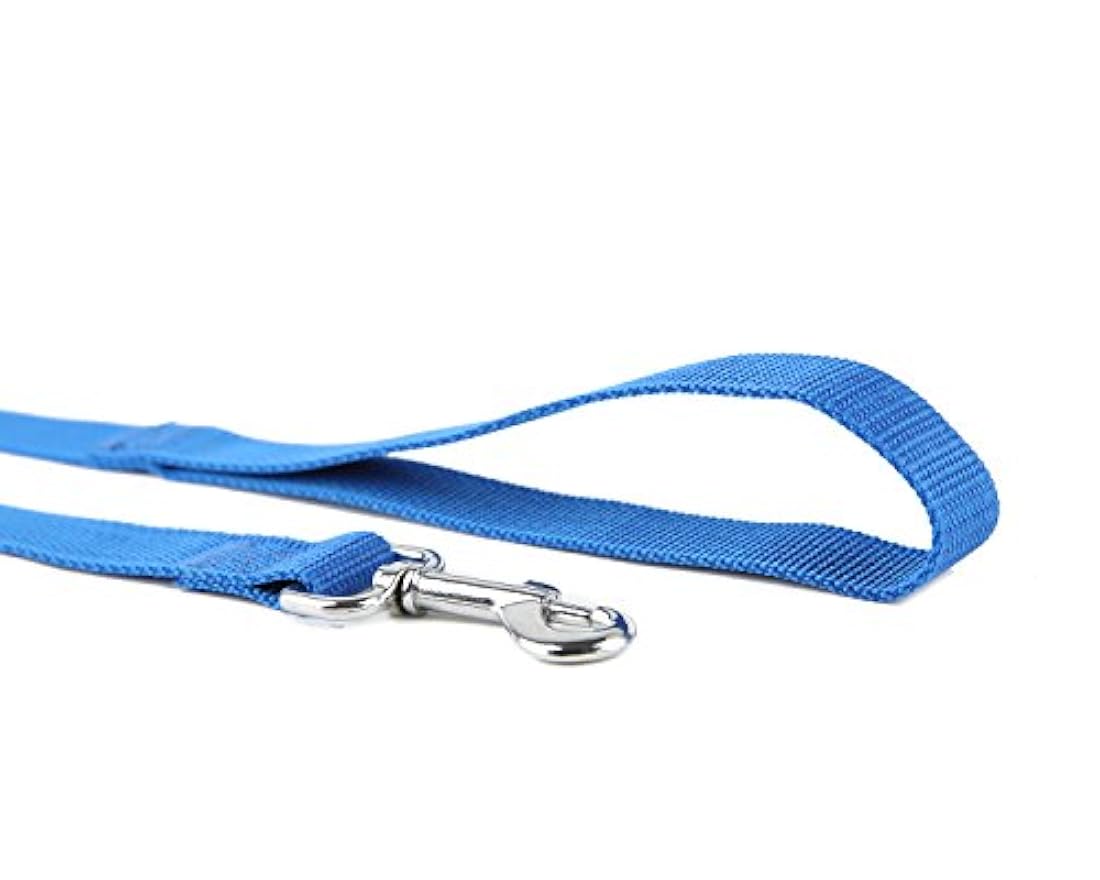 Correa adiestramiento canino nailon resistente