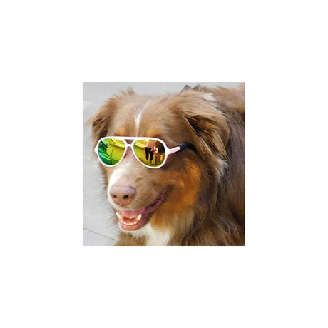 Disfraces de Gafas de sol para perro verde talla única