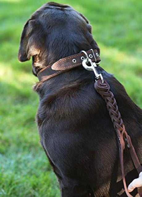 correa  piel color café perro corto