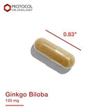 Protocolo para Equilibrio en la vida – Ginkgo Biloba 120 mg