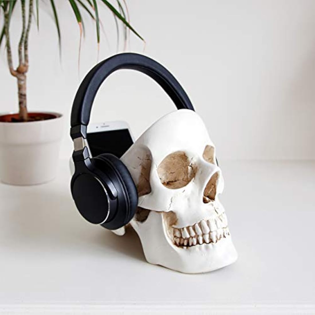 Joyería con diseño de calavera de pájaros de Suck UK