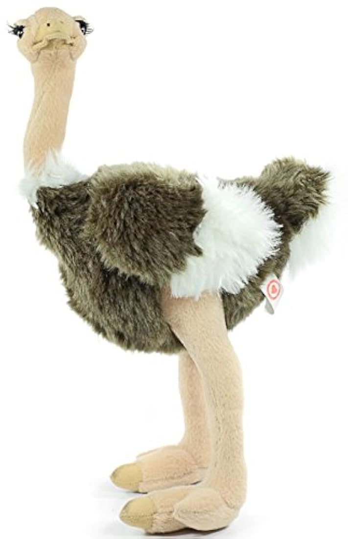 Peluches  Cuento de avestruz