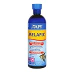 Extracto natural árbol té para curar infecciones bacterianas