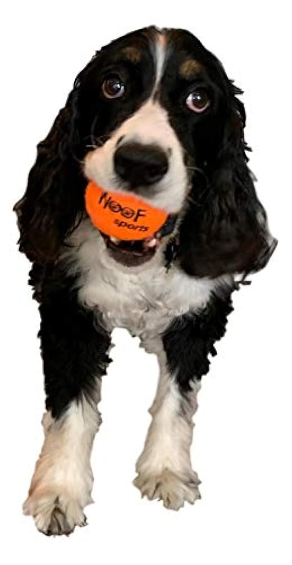 Woof Sports - pelotas de tenis para cachorros 12 Bolas