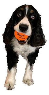 Woof Sports - pelotas de tenis para cachorros 12 Bolas