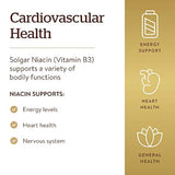 Solgar, Vitamina B3 500 mg Cápsulas vegetales, 100 unidades