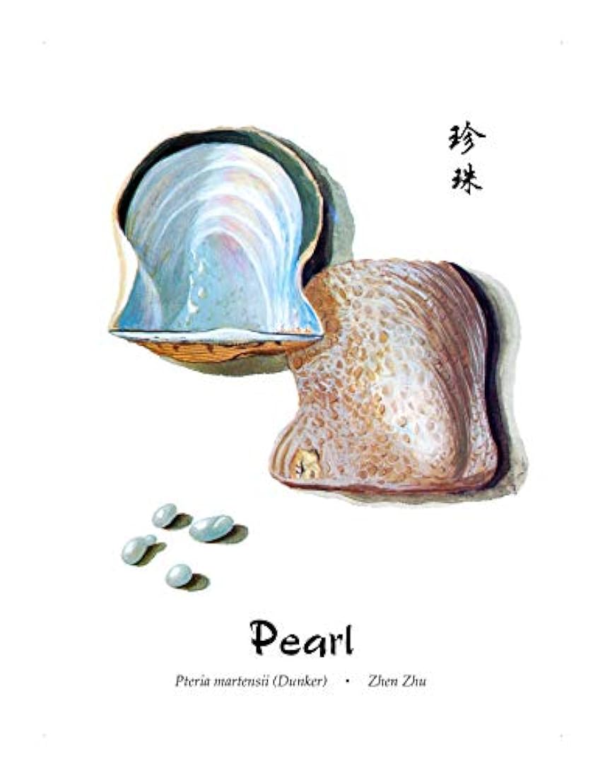 Dragon Herbs Pearl - 100 cápsulas - 500 mg