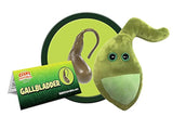Peluche de vesícula biliar