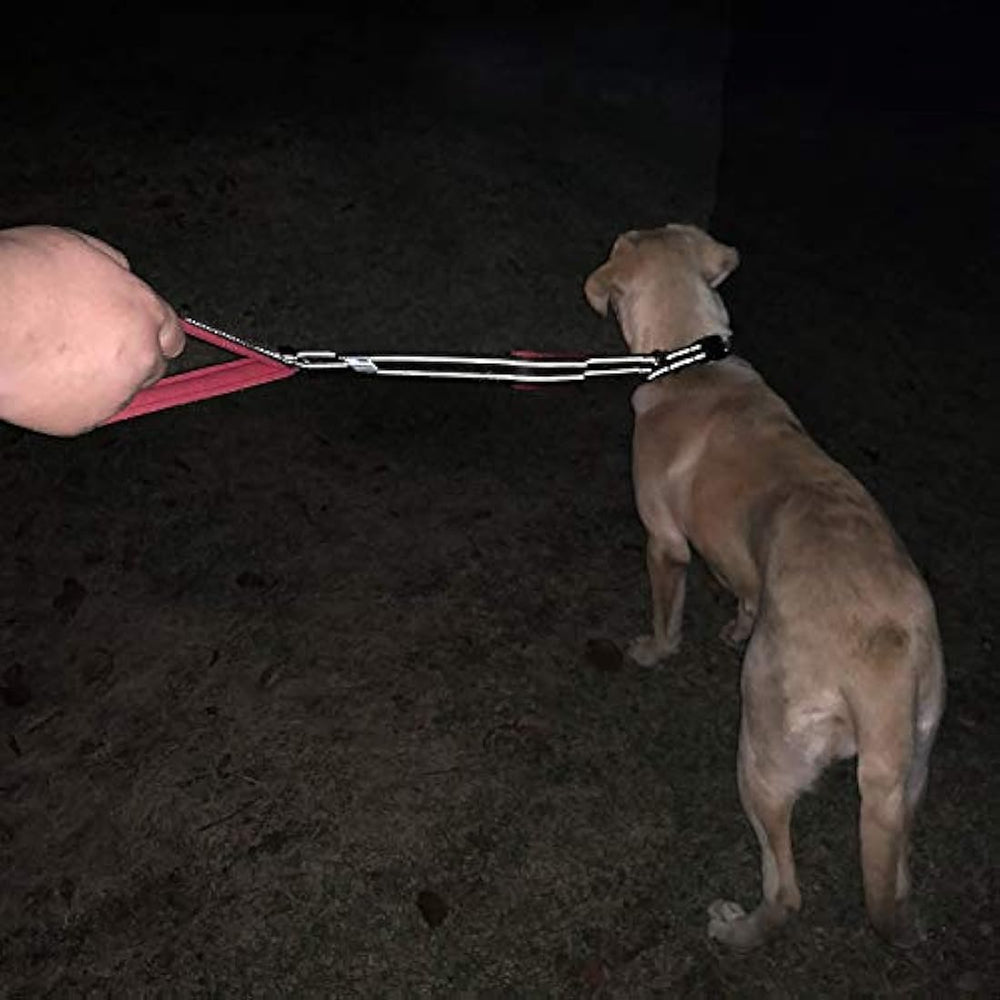 Vivaglory Correa para perro con dos asas acolchadas