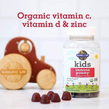 Vitaminas C D y zinc para apoyo inmunológico