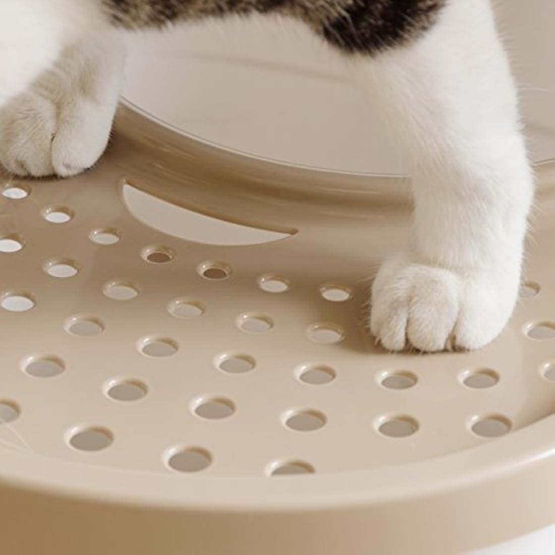 Caja de arena para gatos de entrada superior con pala