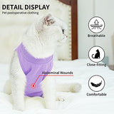 TRAJE profesional de recuperación de gatos para heridas abdominales o enfermedades de la piel, después de la cirugía, uso antilesiones, alternativa transpirable de cuello E para gatos