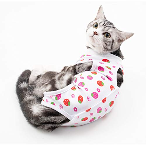 TORJOY Traje de recuperación profesional para gatos para heridas abdominales o enfermedades de la piel, después de la cirugía, heridas antilamiendas, cuello E transpirable alternativa para gatos y perros