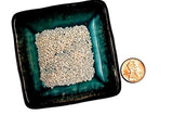 Dragon Herbs Pearl - 100 cápsulas - 500 mg