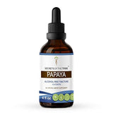 Papaya Papaya orgánicos Tintura alcoholfree Extracto líquido