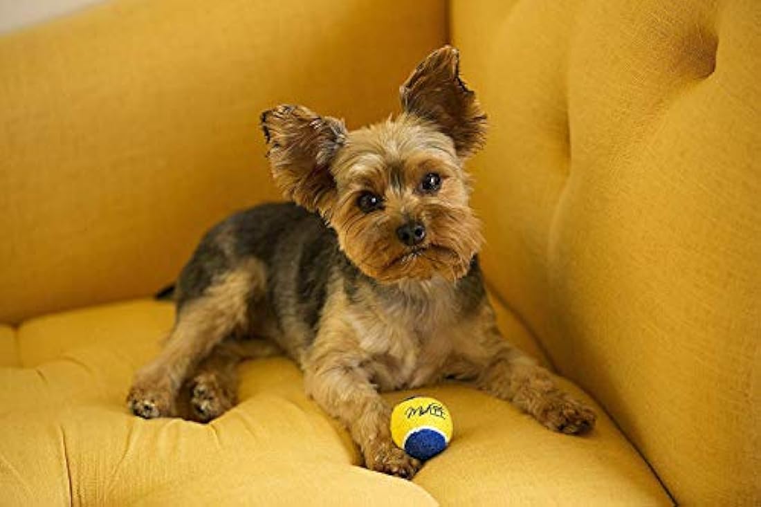 Midlee Pelotas de tenis para perro 1.5 in 12 unidades