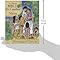La nueva Biblia en cuadros para niños (Edición Español)