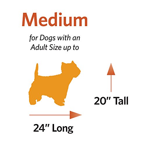 Caja de metal plegable para perros con panel divisor 30