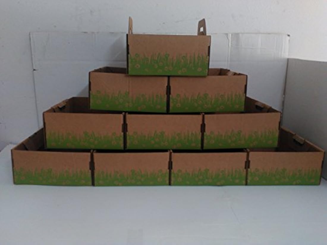 Cajas de arena de diez segundos para gatos