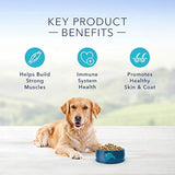 Protection Formula Alimento seco natural para perros adultos