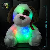 WEWILL Glow Puppy peluche de animal de peluche