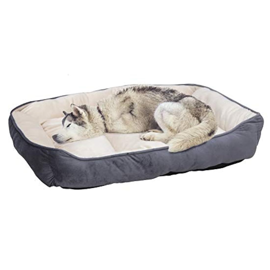 Cama para perros