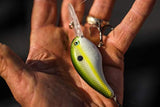 Ganchos de pesca
