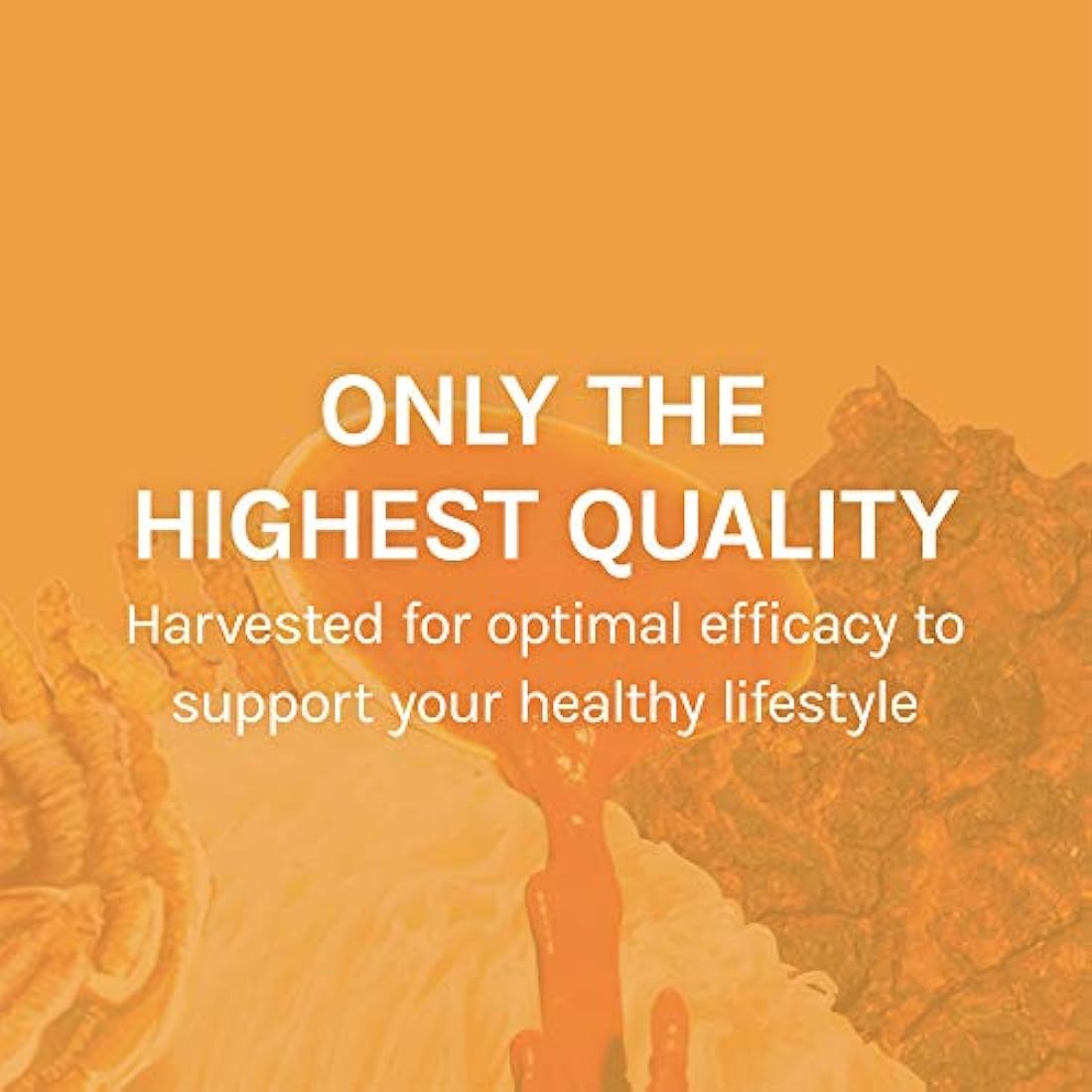Host Defense Extracto de Chaga Antioxidante y Soporte de ADN