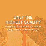 Host Defense - Cápsulas de Chaga, Antioxidante de hongos