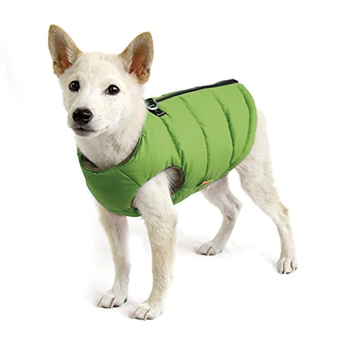 suéter de abrigo de chaqueta de perro