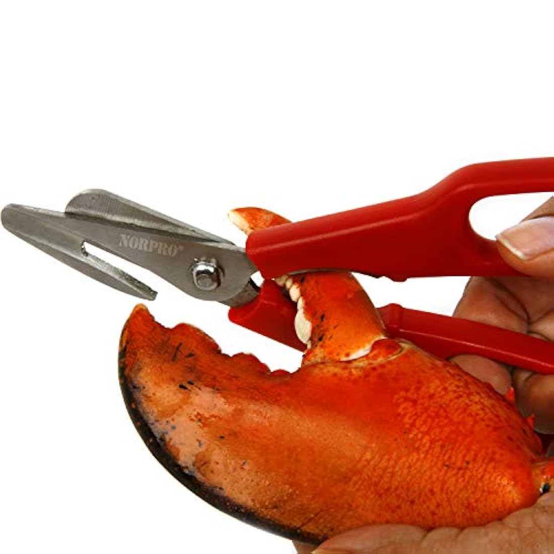 Norpro – ULTIMATE Tijeras de acero inoxidable y rojo marisco
