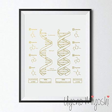Cuadro de estructura molecular