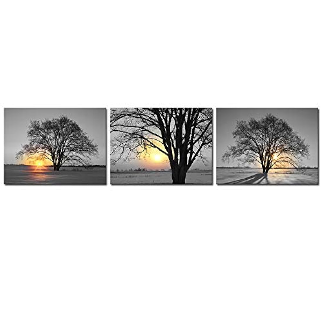 3 piezas de arte de pared de árbol blanco y negro.
