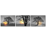 3 piezas de arte de pared de árbol blanco y negro.