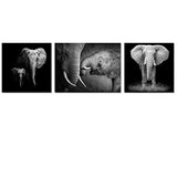 lienzo de decoración de animales, pintura de elefante