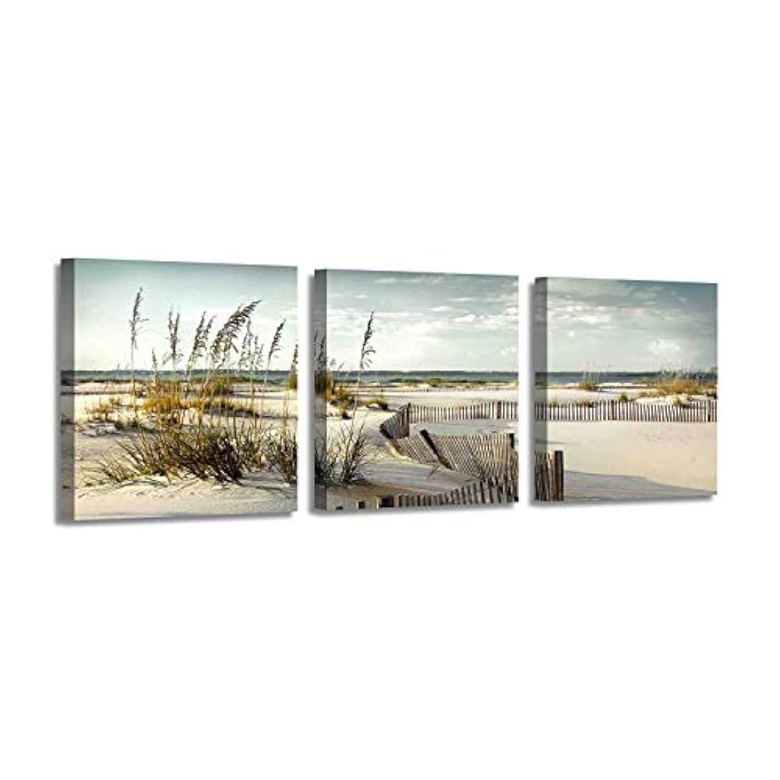 Lienzo de playa, arte de pared: dunas de arena costeras