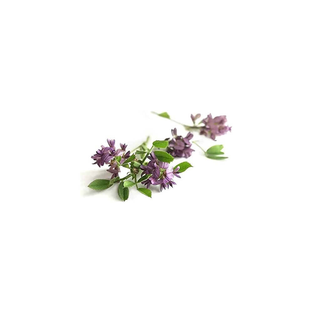 Suplementos Alimenticios Alfalfa Orgánica