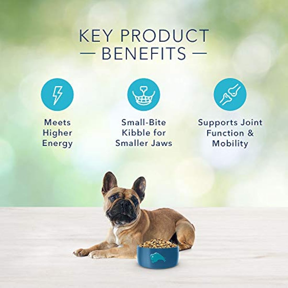 Free Natural Adult Raza pequeña Comida seca para perros