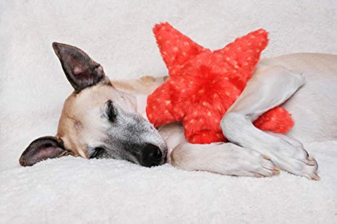 Peluche de estrella de mar