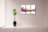 First Wall Art Pintura en 3 paneles, fresca de colores