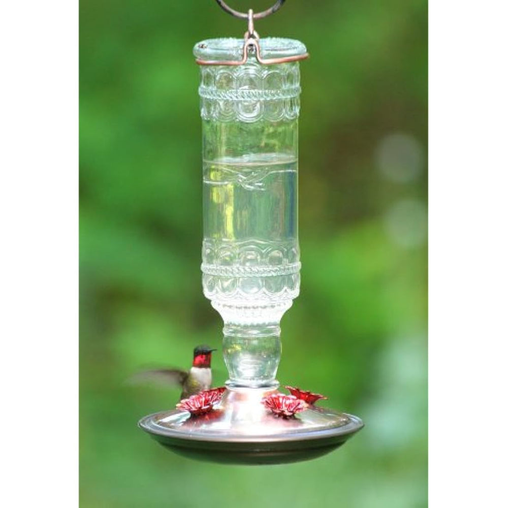 Alimentador antiguo de colibrí de vidrio de 10 onzas