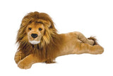 Peluche de León color marrón. Douglas Co., Inc.